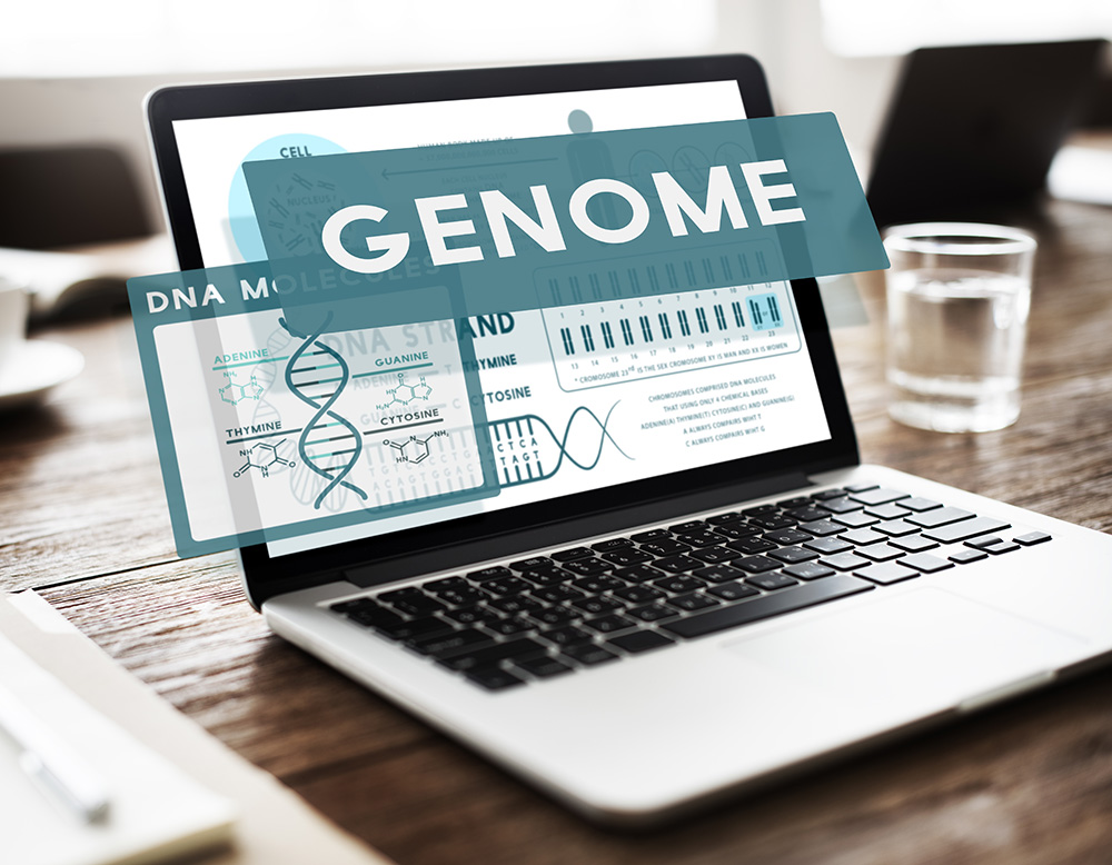 genetyka-genome
